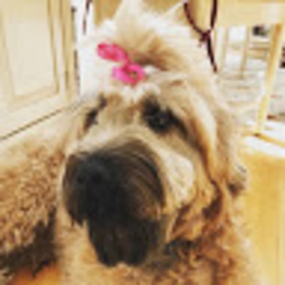 Meet your Posher, Cydney